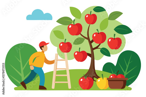 Man Reaching Ladder in Apple Orchard with Tree, Red Fruits and Green Leaves