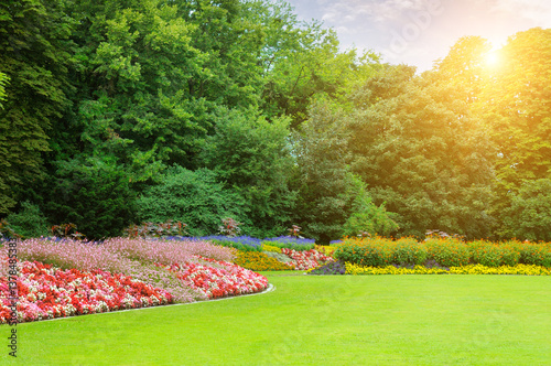 garden with a Beautiful flowerbed, green meadow and bright sunrise .