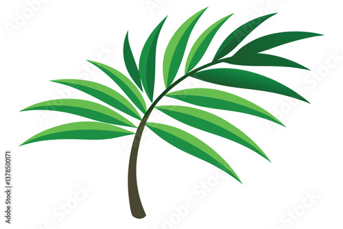 Isolated Palm Tree Leaf Design with Green Leaves and Transparent Background