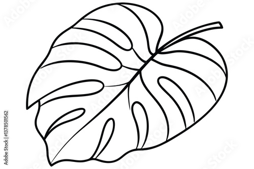 Line Art of a Detailed Monstera Leaf with Bold Outlines on Transparent Background