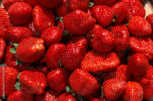 Fototapeta Naklejka Na Ścianę i Meble -  Fraise, fraisier, Fragaria vesca