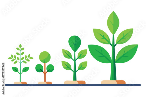 Growth Stages of Green Plant Flat Design with Isolated White Background