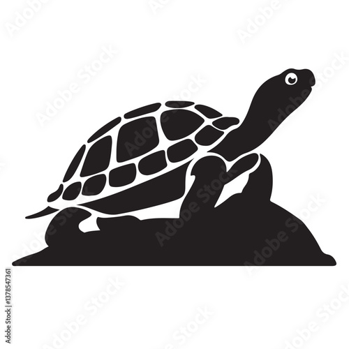 set of vector various Turtles silhouettes	
