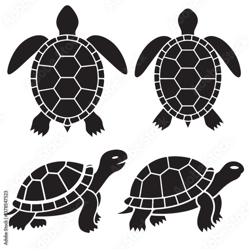 set of vector various Turtles silhouettes	
