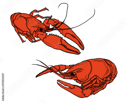Two Boiled Crawfish Illustration