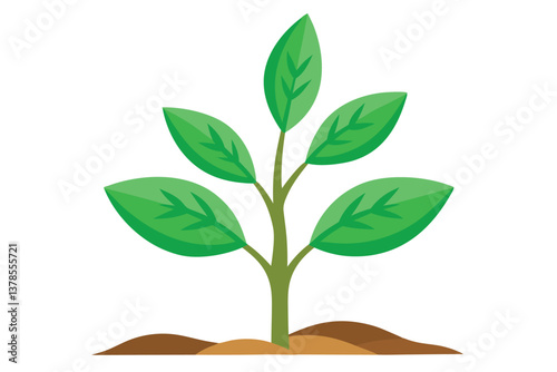 Green Sprout Seedling with Leaves Growing in Soil on a White Background