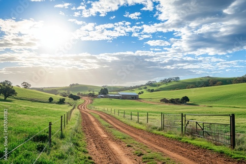 Wallpaper Mural A sunny day shows a dirt road through a green landscape Torontodigital.ca