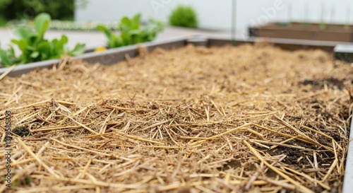 Dry straw mulch is used as a protective layer on top of soil in a raised garden bed, helping to suppress weeds, retain moisture, and improve soil health