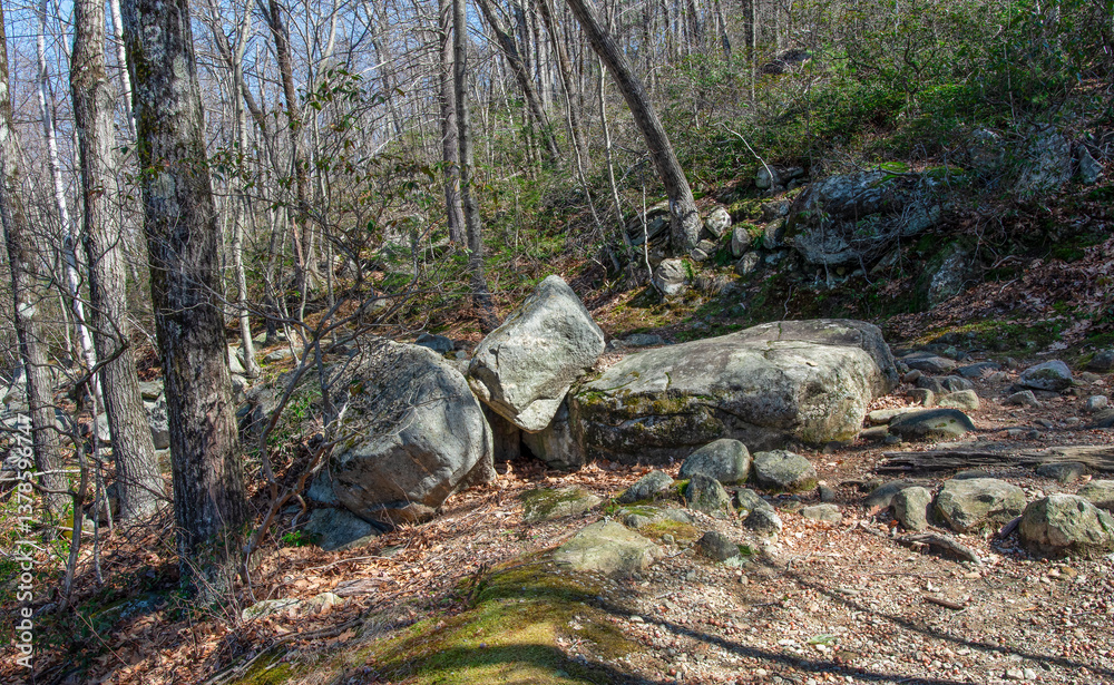 Fototapeta premium the rocky hiking trail of the leominster state forest