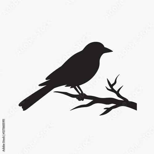 Silhouette of a crow and other birds on branches in a wintery nature scene