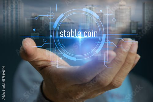 The concept of using stablecoins in financial systems
