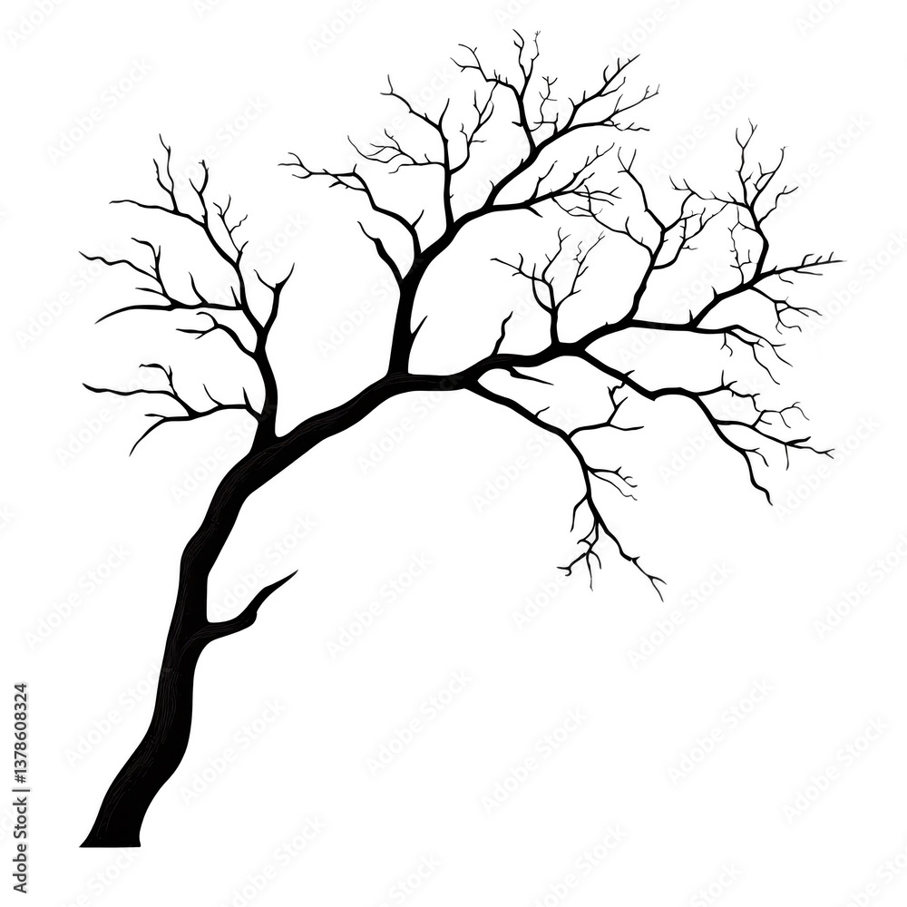 Fototapeta premium A silhouette of bare tree with intricate branches against transparency background, evoking sense of simplicity and elegance