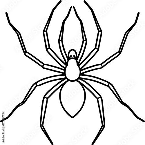 Modern Brown Recluse Spider Outline