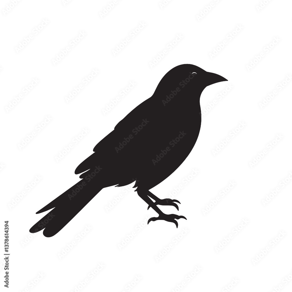 Silhouette of a crow perched on a branch with a white background Silhouette of a crow perched on a branch with a white background