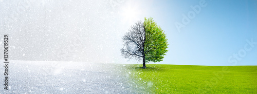 Jahrezeitenwechsel von Winter zu Sommer