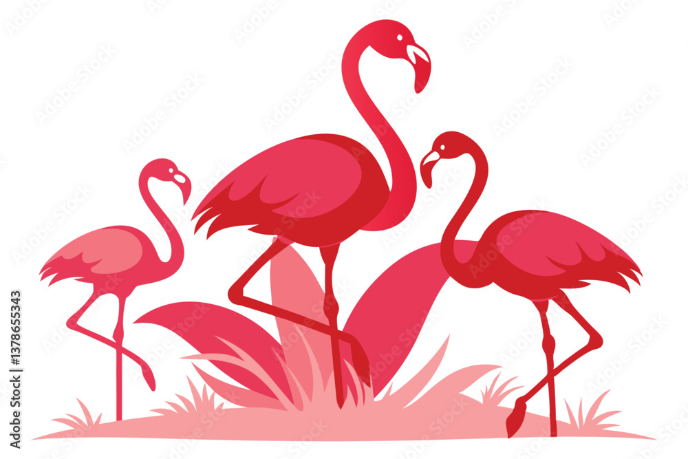 Obraz premium Three Pink Flamingoes Standing in Grass on White Background