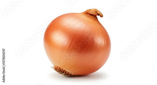 Wallpaper Mural A single brown onion with papery skin sitting on a plain white surface in a studio shot image Torontodigital.ca