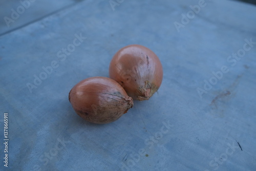 photo of fresh shallots from the garden