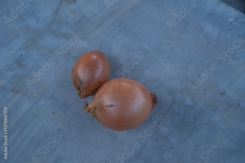 photo of fresh shallots from the garden