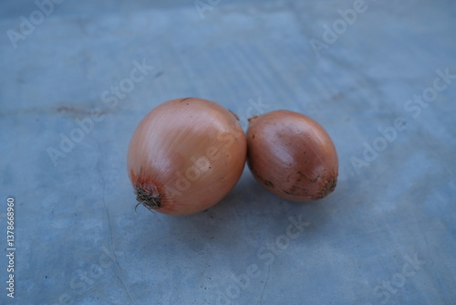 photo of fresh shallots from the garden
