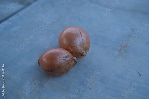 photo of fresh shallots from the garden