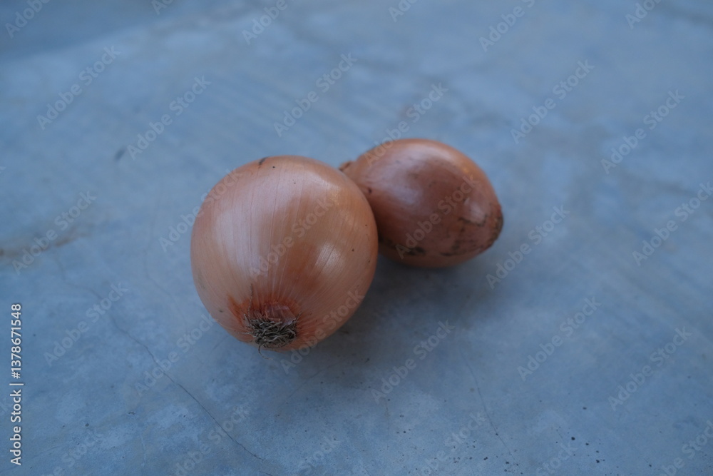 Obraz premium photo of fresh shallots from the garden
