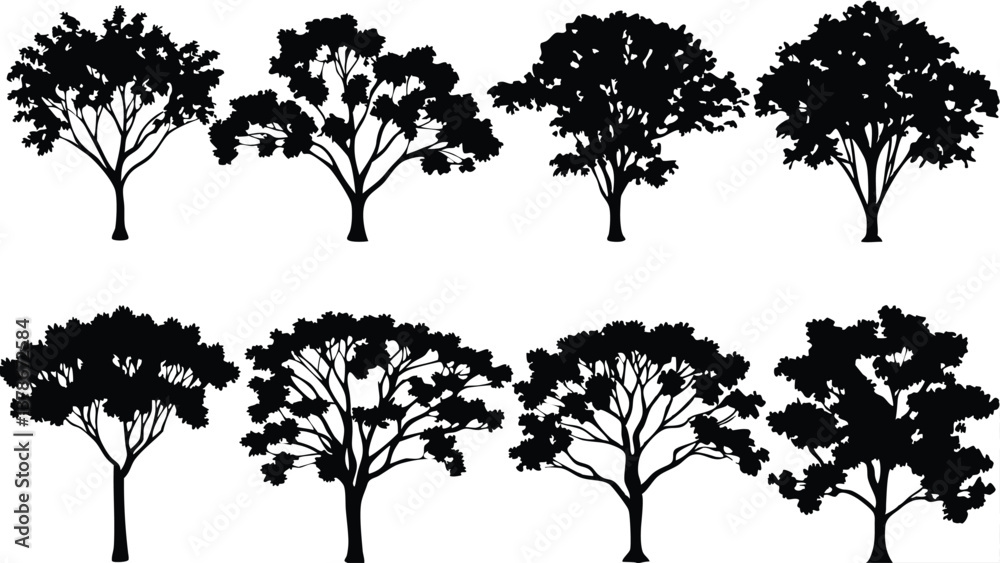 Fototapeta premium Silhouette Tree Line Drawing Set – Vector Outline Trees for Architecture & Landscape Design