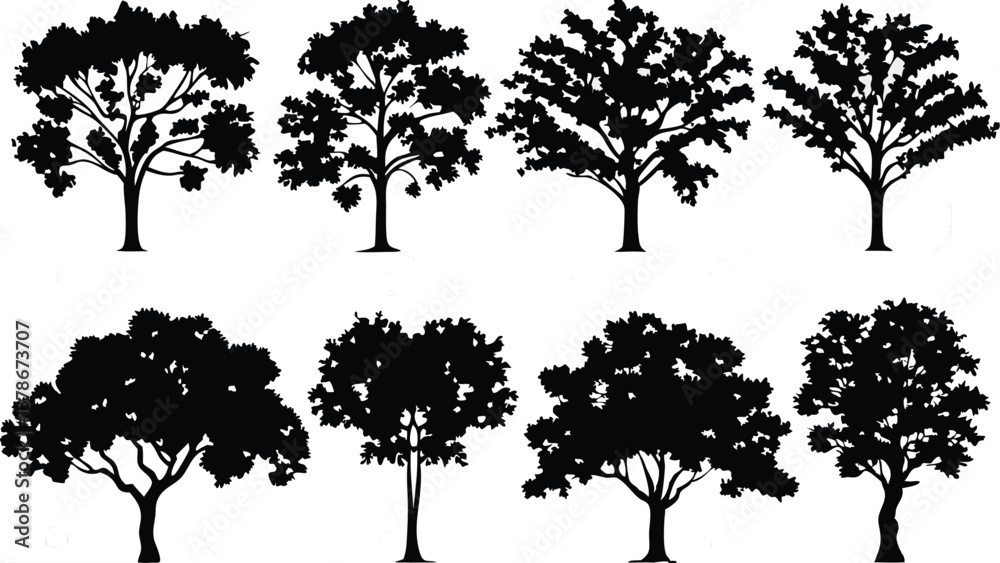 Fototapeta premium Silhouette Tree Line Drawing Set – Vector Outline Trees for Architecture & Landscape Design