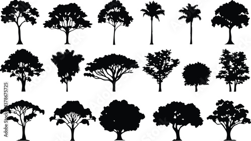  Silhouette Tree Line Drawing Set – Vector Outline Trees for Architecture & Landscape Design