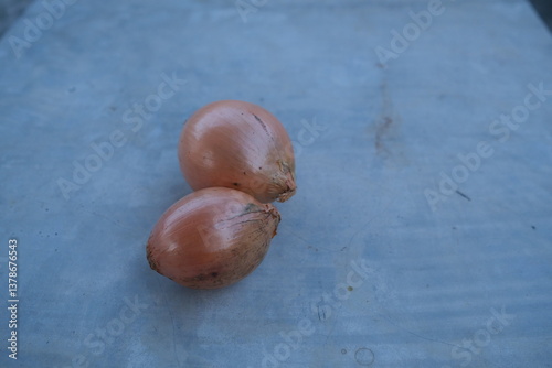 photo of fresh shallots from the garden