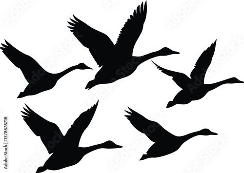 Silhouette of Flying Geese Group, Wings Spread in Flight, Against Transparent Background