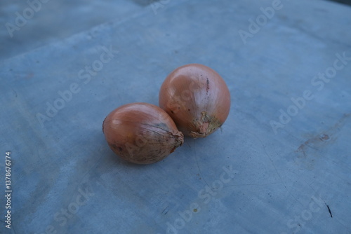 photo of fresh shallots from the garden
