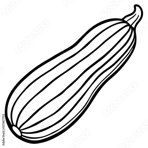 Vector Graphics Zucchini Concept