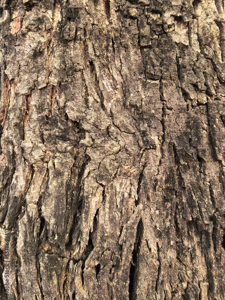 Obraz premium Rough Tree Bark Texture Close-Up