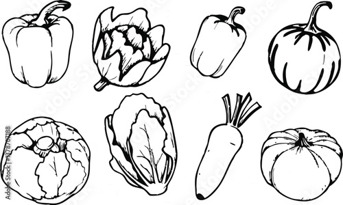 Hand-Drawn Vintage Vegetable Set – Botanical Etching Vector Sketch Line Art