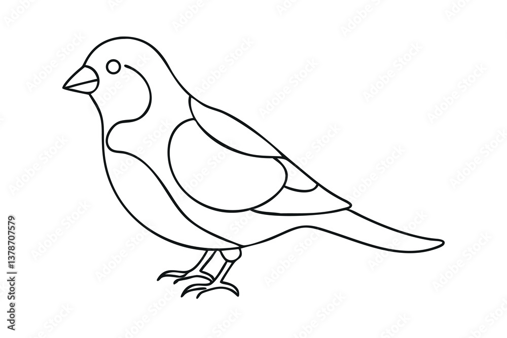 Fototapeta premium Simple Line Drawing of a Small Bird, Avian, Feathered, Wildlife