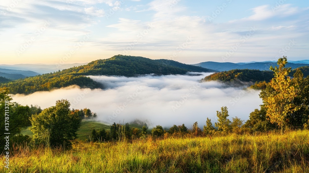Rolling Hills and Mist: Capturing the serenity of rolling hills and valleys blanketed in a soft, ethereal mist, basking in the warm glow of the morning sun, a peaceful landscape. Rolling Hills and Mist: Capturing the serenity of rolling hills and valleys blanketed in a soft, ethereal mist, basking in the warm glow of the morning sun, a peaceful landscape.