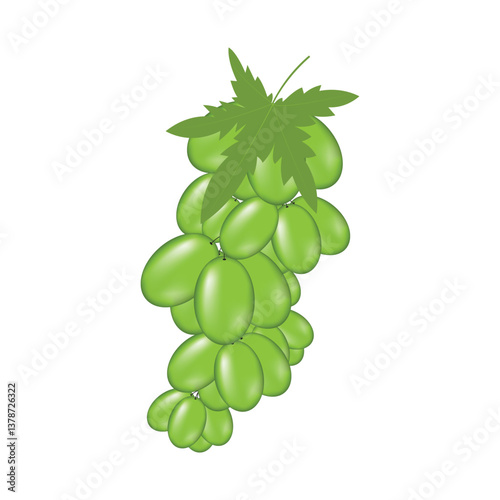 Green Grapes Bunch Illustration with Leaf Isolated on White