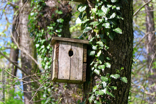 Bird feeder.