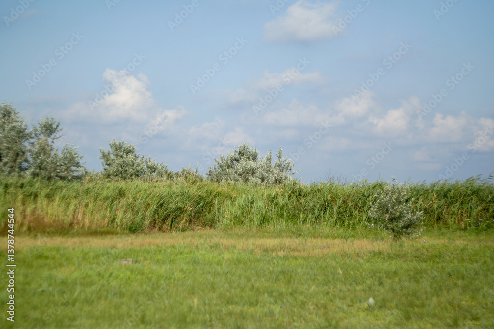 Obraz premium Serene Countryside Landscape with Green Fields and Blue Sky on a Sunny Day for nature and countryside enthusiasts. Nature background for publication, poster, calendar, post. High quality photography