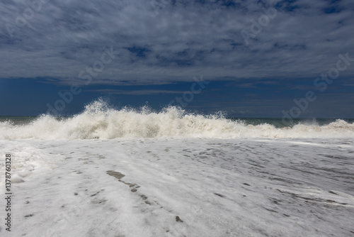 Black sea coast in summer
