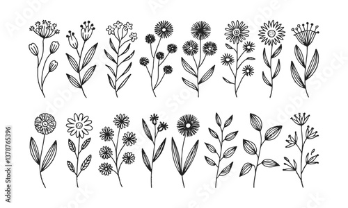 Modern vector illustration featuring a collection of hand-drawn botanical doodles, easily editable.