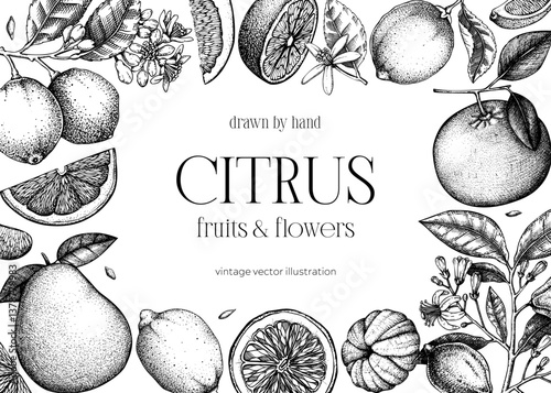 Citrus fruit frame design. Hand drawn vector illustration. Healthy food sketches. Engraved summer background. NOT AI generated