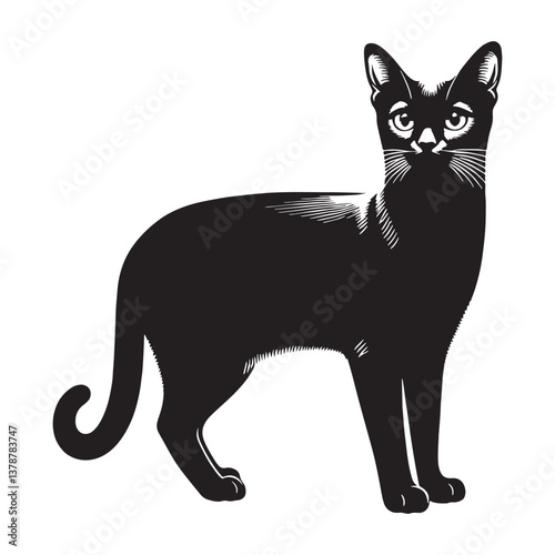 Minimalist Singapura silhouette, a clean and simple depiction of this affectionate breed - Singapura illustration - Singapura vector - cat silhouette

