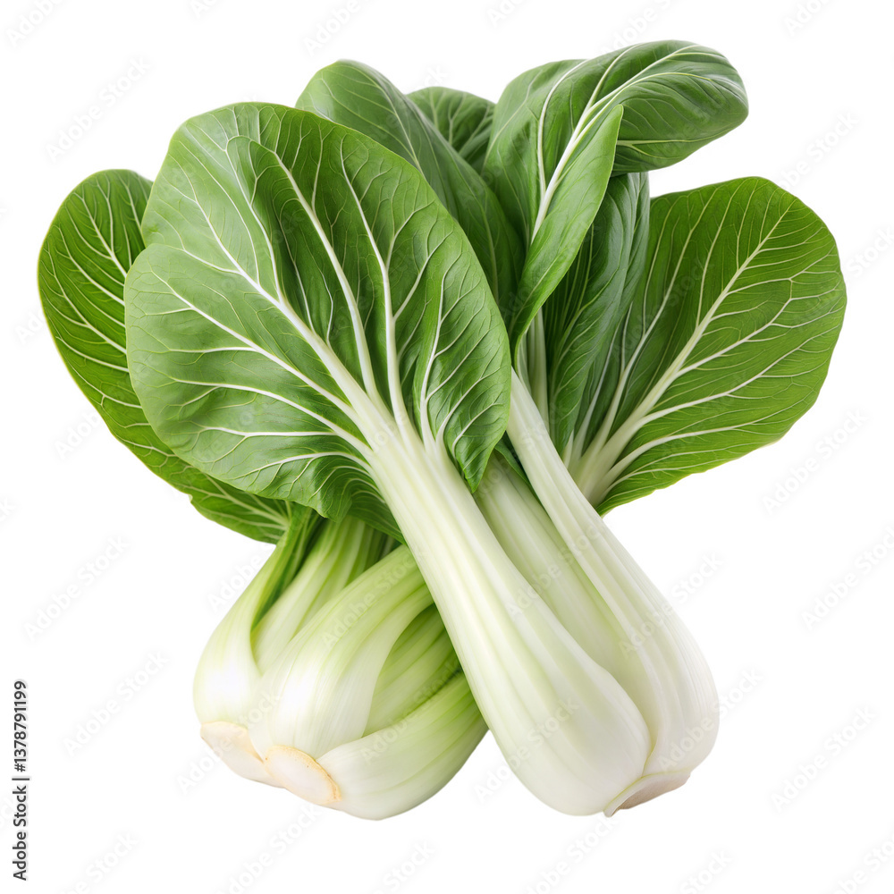 fresh spinach on white background fresh spinach on white background