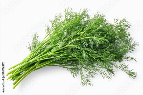 A bunch of fresh dill with delicate feathery leaves, isolated on a transparent background.