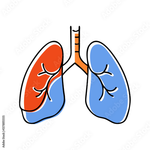 Lungs diagram in vibrant colors representing health  