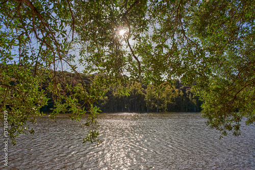lago rodeado de bosques con cielo azul y nubes 