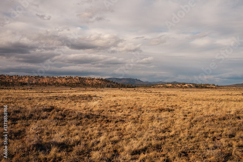 Road Trip Through the Desert – Scenic Stop and Landscapes Across Utah and Arizona