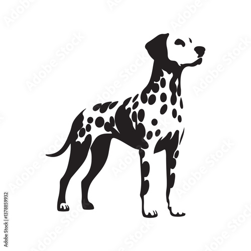 a dalmatian dog